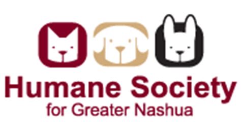 Nashua humane society - All kind, animal-loving people are welcome here. We are not just accepting. Instead, we are actively antiracist, pro-women, and an LGBTQIA+ welcoming organization. Discrimination and unkindness of any kind will not be tolerated here at any level. New Hampshire Humane Society is a nonprofit 501(c)3 organization and our EIN is 02-6006374.